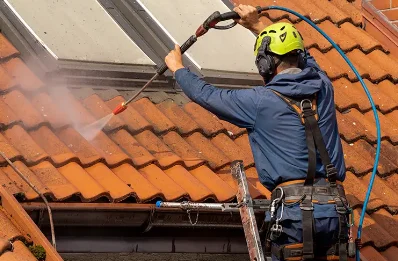 Démoussage et hydrofuge de toiture à Ozolles